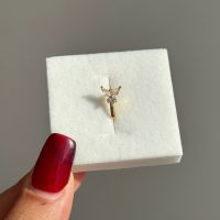 پرسینگ فیک بینی پروانه