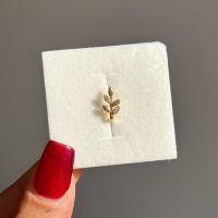 پرسینگ فیک بینی برگ